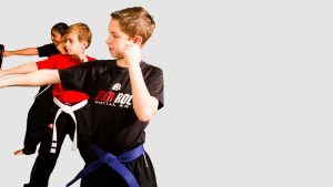 Best Martial Art Programs in the state 